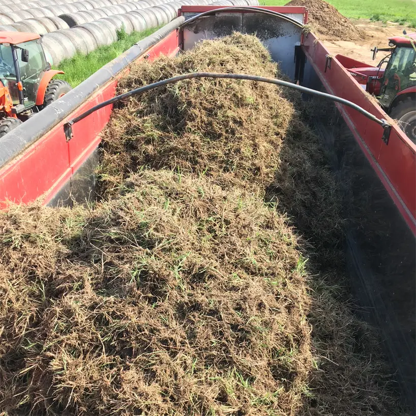 Loading freshly dug Bermuda grass sprigs at Russell Hay & Sprig Farm. Loading freshly dug Bermuda grass sprigs at Russell Hay & Sprig Farm.