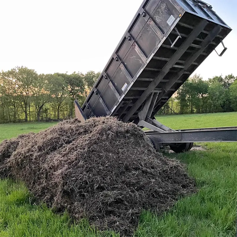 collected-bermuda-sprigs-at-russell-hay-and-sprig-farm