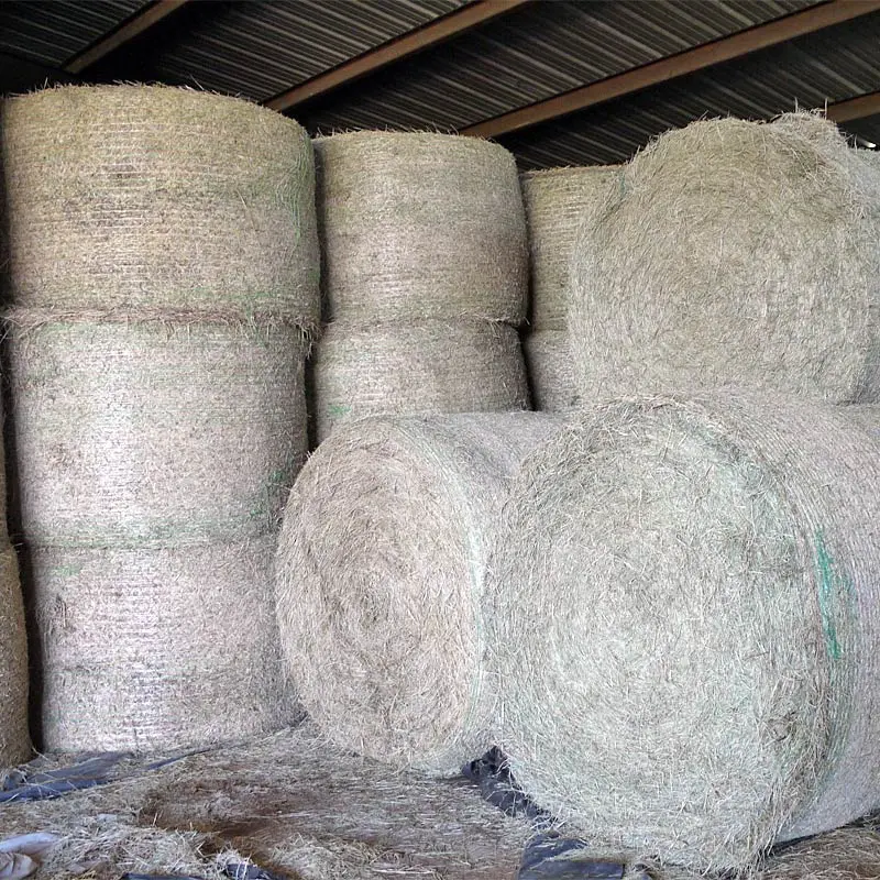 stacked-round-hay-bales-at-russell-hay-and-sprig-farm